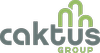 Caktus Consulting Group